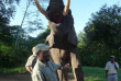 Afrique du Sud - Hazyview - Rencontre et balade avec les éléphants