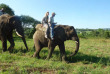 Afrique du Sud - Hazyview - Rencontre et balade avec les éléphants au coucher de soleil