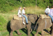 Afrique du Sud - Hazyview - Réveil des éléphants, rencontre et balade