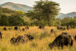Afrique du Sud - Parc national Hluhluwe Imfolozi- ©Shutterstock, Lukasz Nycz