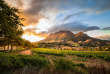 Afrique du Sud - La Route des Vins - ©Shutterstock, Modernnomad