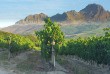 Afrique du Sud - La Route des Vins - ©Shutterstock, Longjon