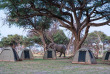 Botswana - safari guidé en bivouac - Bush Ways Safaris