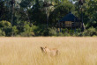 Botswana - Delta de l'Okavango - Wilderness Safaris - Kwetsani Camp © Dana Allen