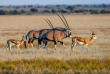 Botswana - Central Kalahari Game Reserve - Kwando Tau Pan