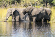 Botswana - Delta de l'Okavango - Moremi Game Reserve - Camp Moremi