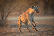 Botswana ©Shutterstock, Jandrie Lombard