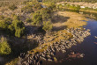 Botswana - Makgadikgadi Pan - Meno a Kwena