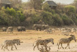 Botswana - Makgadikgadi Pans National Park - Leroo La Tau