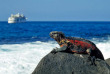 Equateur - Galapagos - Itinéraire de San Cristobal à Santa Cruz © Shutterstock, Frank Wasserfuehrer