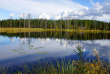 Finlande - Circuit Découverte de la région des lacs