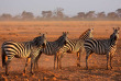 Kenya - Parc national Amboseli ©Shutterstock, ecoprint