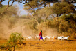 Kenya - Parc national Amboseli ©Shutterstock, andrzej kubik