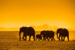 Kenya - Parc national Amboseli ©Shutterstock, javarman