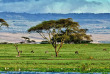 Kenya - Lake Naivasha ©Shutterstock, travel stock
