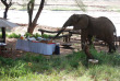 Kenya - Samburu - Elephant Bedroom Camp