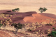 Namibie - Parc national Namib-Naukluft - Desert du Namib - Namibia Tourism Board 