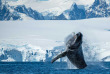 Croisières PONANT - Antarctique © Studio Ponant, Olivier Blaud