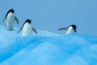 Croisières PONANT - Antarctique - La Mer de Ross © Studio Ponant
