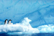 Croisières PONANT - Antarctique - Mer de Weddell et Plateformes de glace de Larsen © Studio Ponant