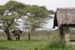 Tanzanie - Serengeti sud - Ndutu Safari Lodge