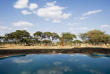 Tanzanie - Tarangire - Sanctuary Swala