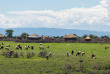 Tanzanie - Lake Manyara ©Shutterstock, vadim petrakov
