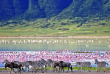 Tanzanie - Ngorongoro ©Shutterstock, travel stock