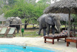 Tanzanie - Selous - Africa Safari Camp