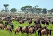 Tanzanie - Serengeti ©Shutterstock, eastvillage images