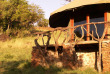 Tanzanie - Serengeti centre Ikoma - Serengeti Simba Lodge