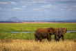 Tanzanie - Tarangire © Shutterstock, lmspencer