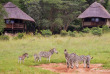 Zimbabwe - Hwange - Ivory Lodge