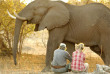 Zimbabwe - Mana Pools -Goliath Safari Camp