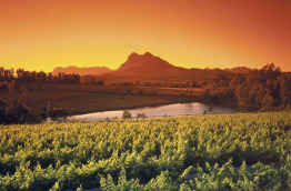 Civilisations d'Afrique du Sud - Route des Vins