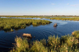 Botswana - Nord Linyanti - Wilderness DumaTau Camp