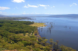 Kenya - Lake Nakuru ©Shutterstock, eduard kyslynskyy
