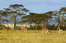 Kenya - Lake Nakuru ©Shutterstock, attila jandi