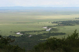 Kenya - Masai Mara - Kilima Camp