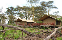 Kenya - Naivasha - Kiboko Luxury Camp