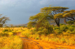 Kenya - Samburu ©Shutterstock, piotr gatlik