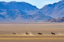 Namibie - Parc national Namib-Naukluft - Réserve naturelle de Namibrand ©Shutterstock, Felix Lipov