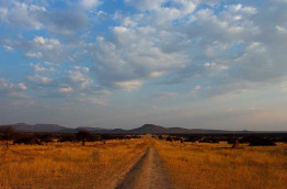 Namibie - Réserve naturelle d'Okonjima - AfriCat Foundation