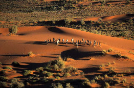 Namibie - safari bivouac - Namibian total experience safari