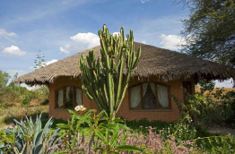 Tanzanie - Arusha - Kilimanjaro airport - KIA Lodge