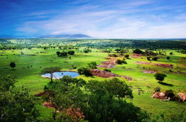 Tanzanie - Serengeti ©Shutterstock, photocreo michal bednarek
