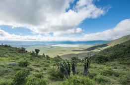 Tanzanie - Ngorongoro © Shutterstock, rhg