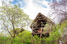Tanzanie - Tarangire National Park - Maweninga Camp