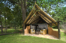 Zambie - South Luangwa - Nkwali Lodge (Robin Pope Safari)