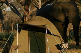 Zimbabwe - Hwange National Park - camp mobile Kazuma Trails - version semi-luxe